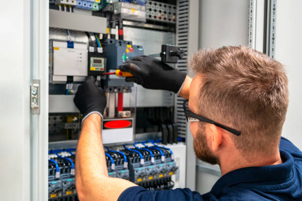 Best Electrician for Home Renovation  in Spring Valley, MN