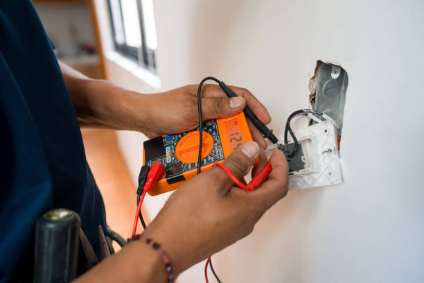 Best Licensed Electrician  in Spring Valley, MN