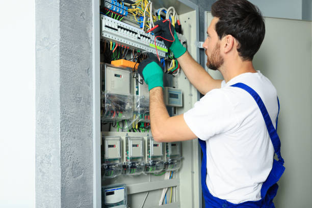 Best Affordable Electrician  in Spring Valley, MN