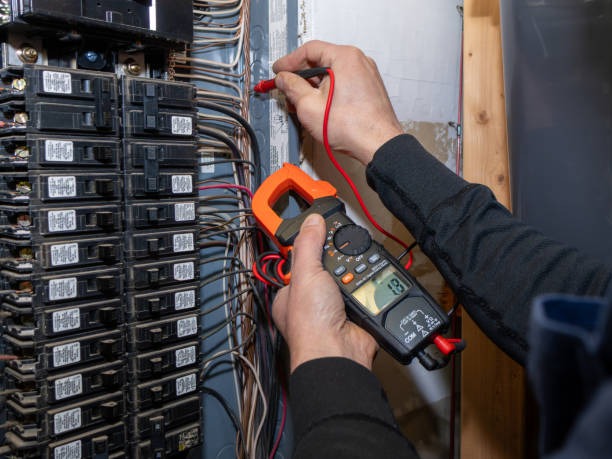 Best Licensed Electrician  in Spring Valley, MN