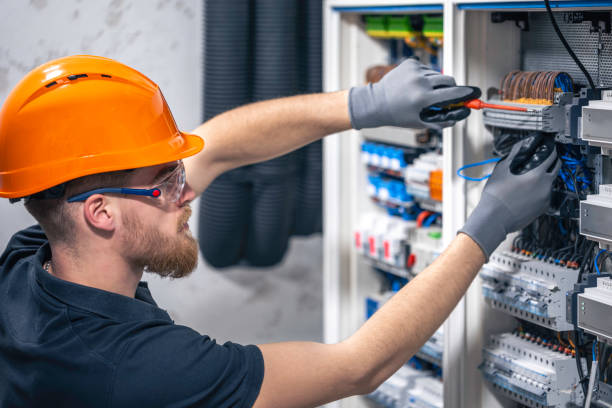 Best Home Electrical Repair  in Spring Valley, MN